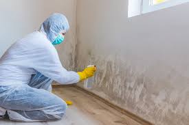 Best Attic Mold Removal in Guyton, GA