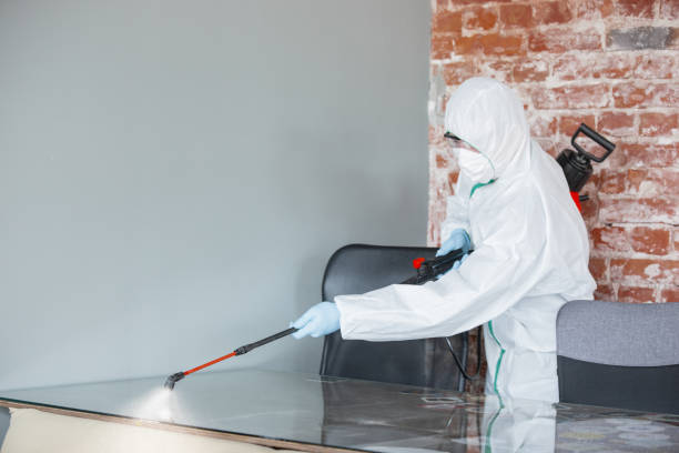 Best Comprehensive Air Testing for Mold Contaminants in Guyton, GA