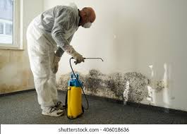 Best Black Mold Removal in Guyton, GA